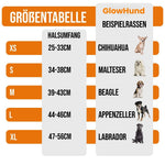 GlowHund LED-Leuchthalsband für Hunde – Sichtbarkeit garantiert!