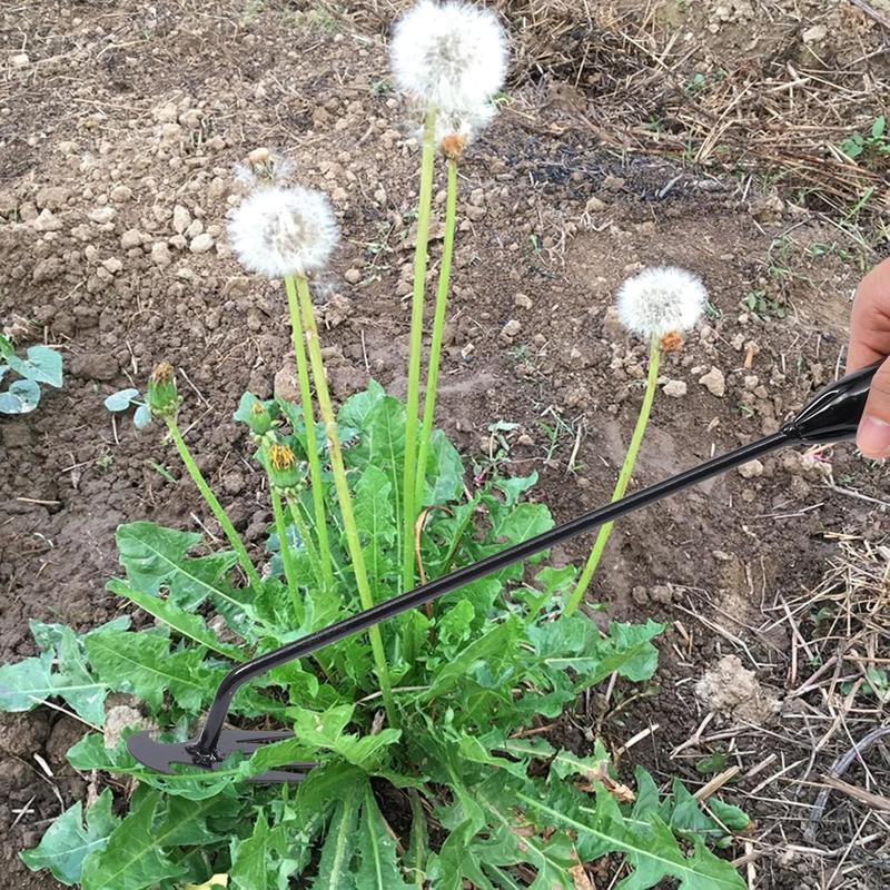 Effektiver Unkrautentferner - Ergonomisches Gartenwerkzeug