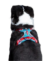 Verstellbares Hundegeschirr – Atmungsaktiv & Bequem