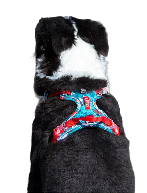 Verstellbares Hundegeschirr – Atmungsaktiv & Bequem