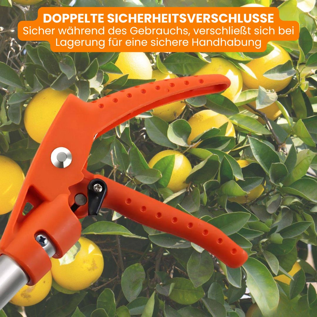 Bild-Alt-Text