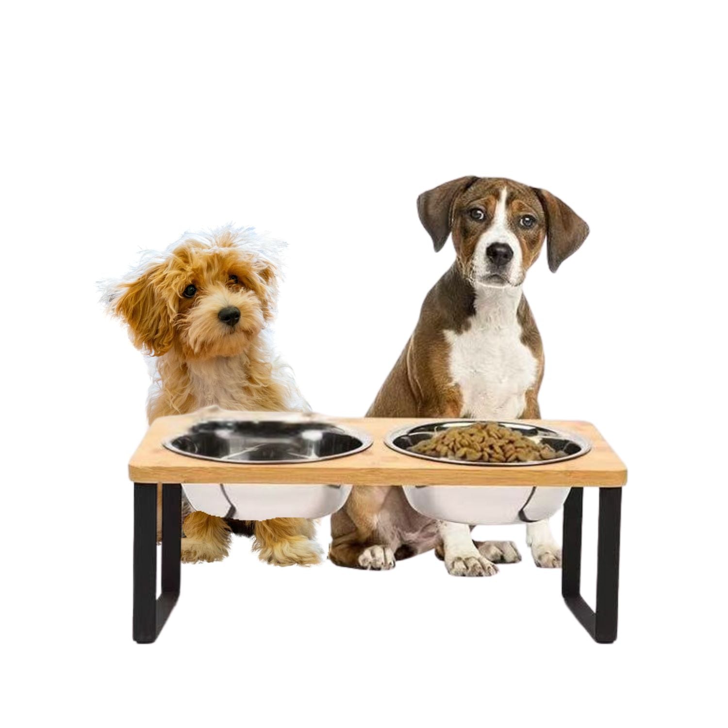 Hunde-Futterstation mit Bambusgestell und Edelstahl-Schalen