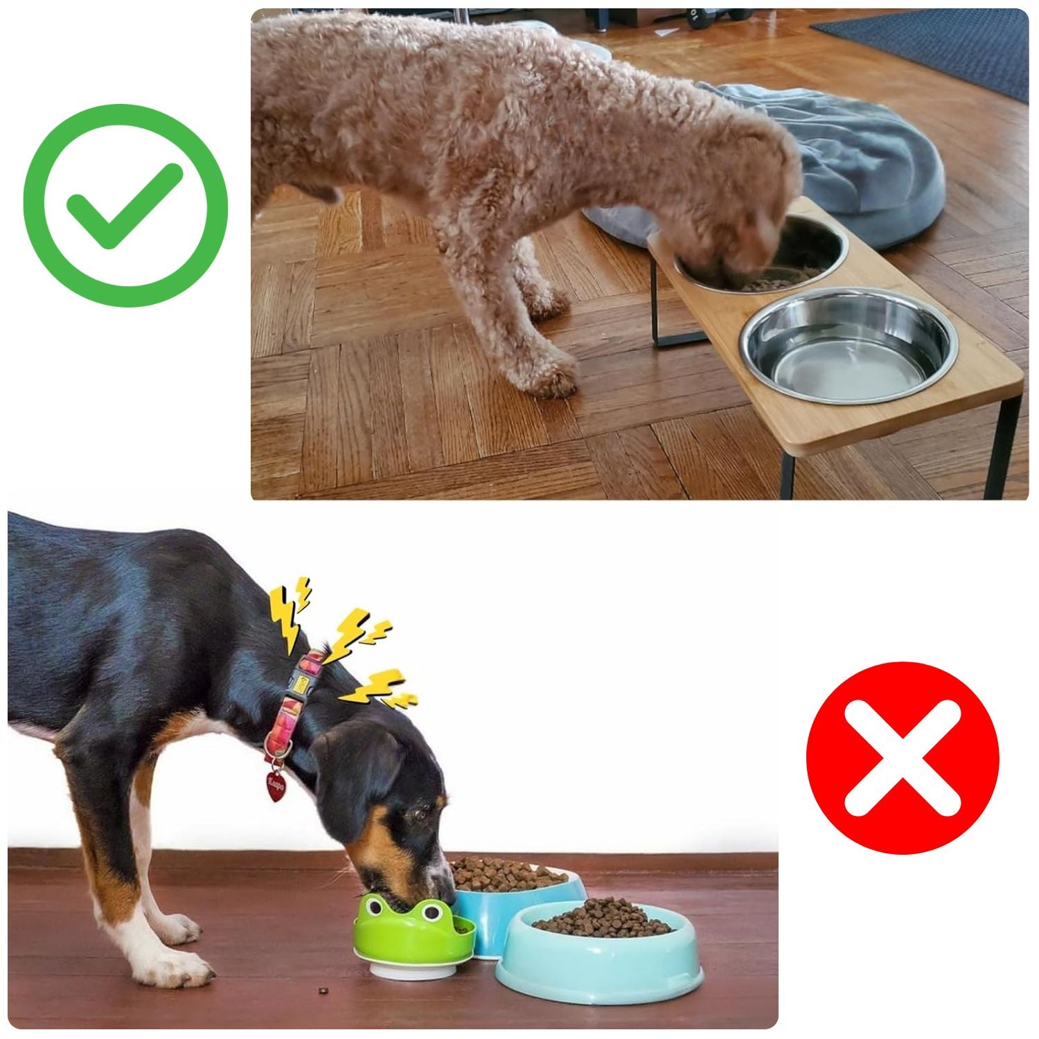 Hunde-Futterstation mit Bambusgestell und Edelstahl-Schalen