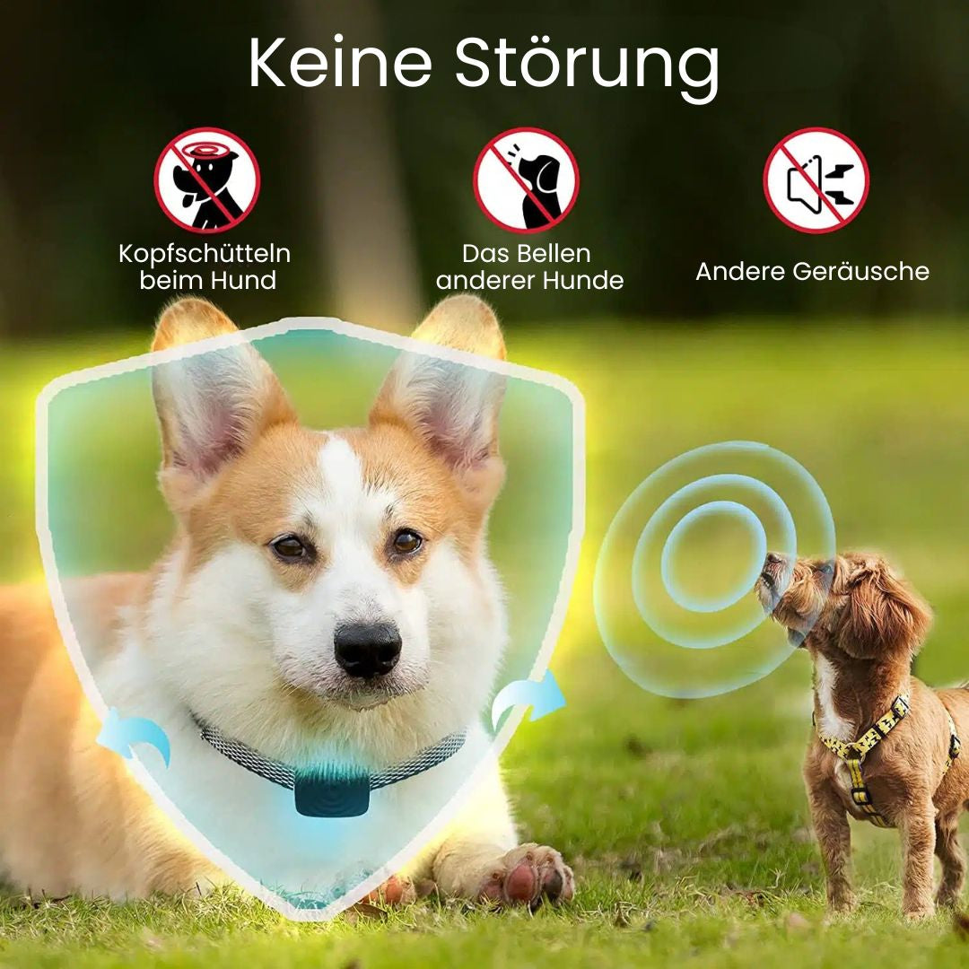 Bild-Alt-Text