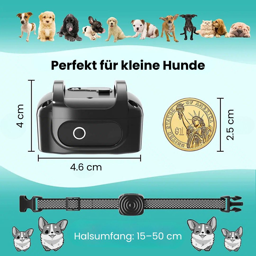 Sanftes Anti-Bell-Halsband für entspannte Hundemomente