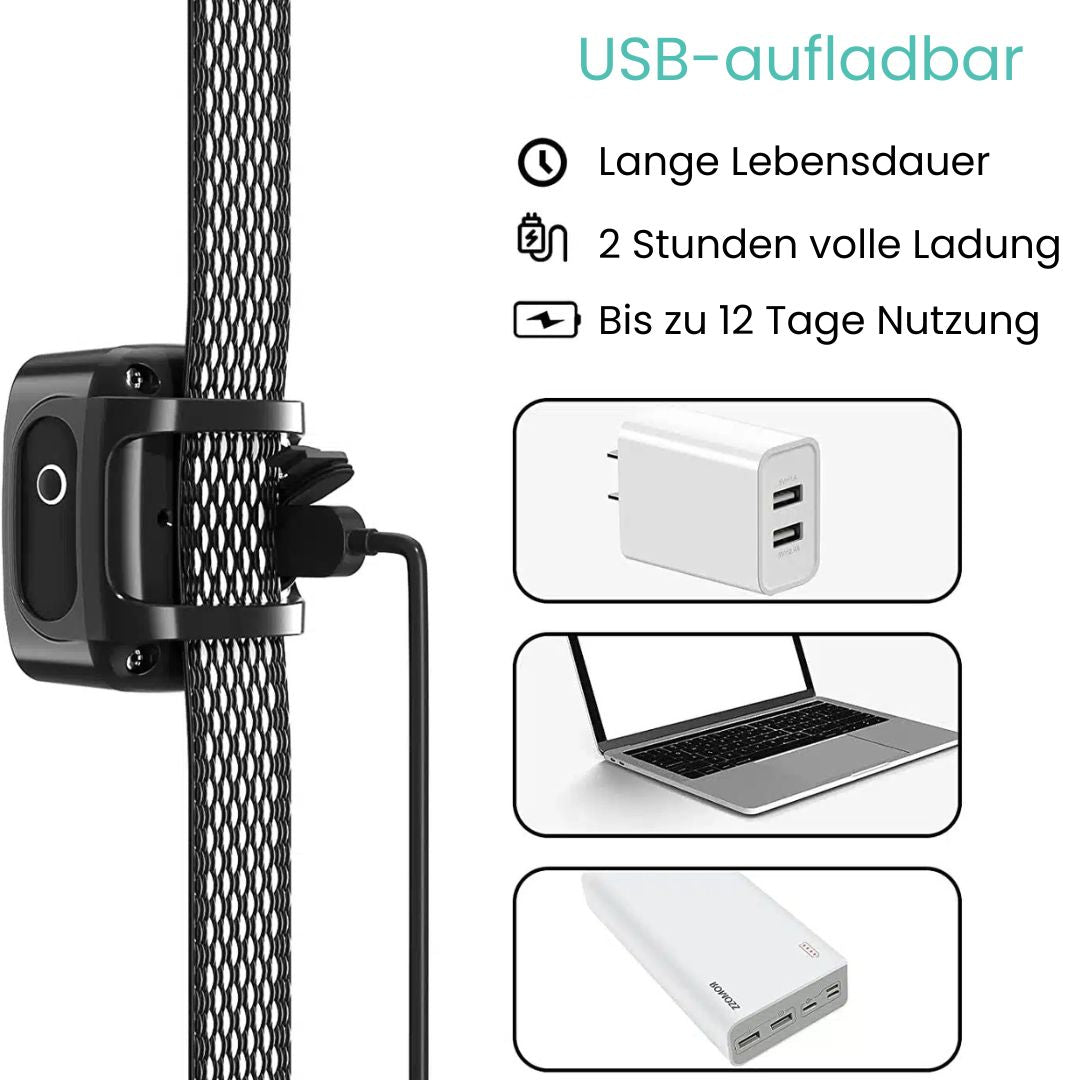 Sanftes Anti-Bell-Halsband für entspannte Hundemomente