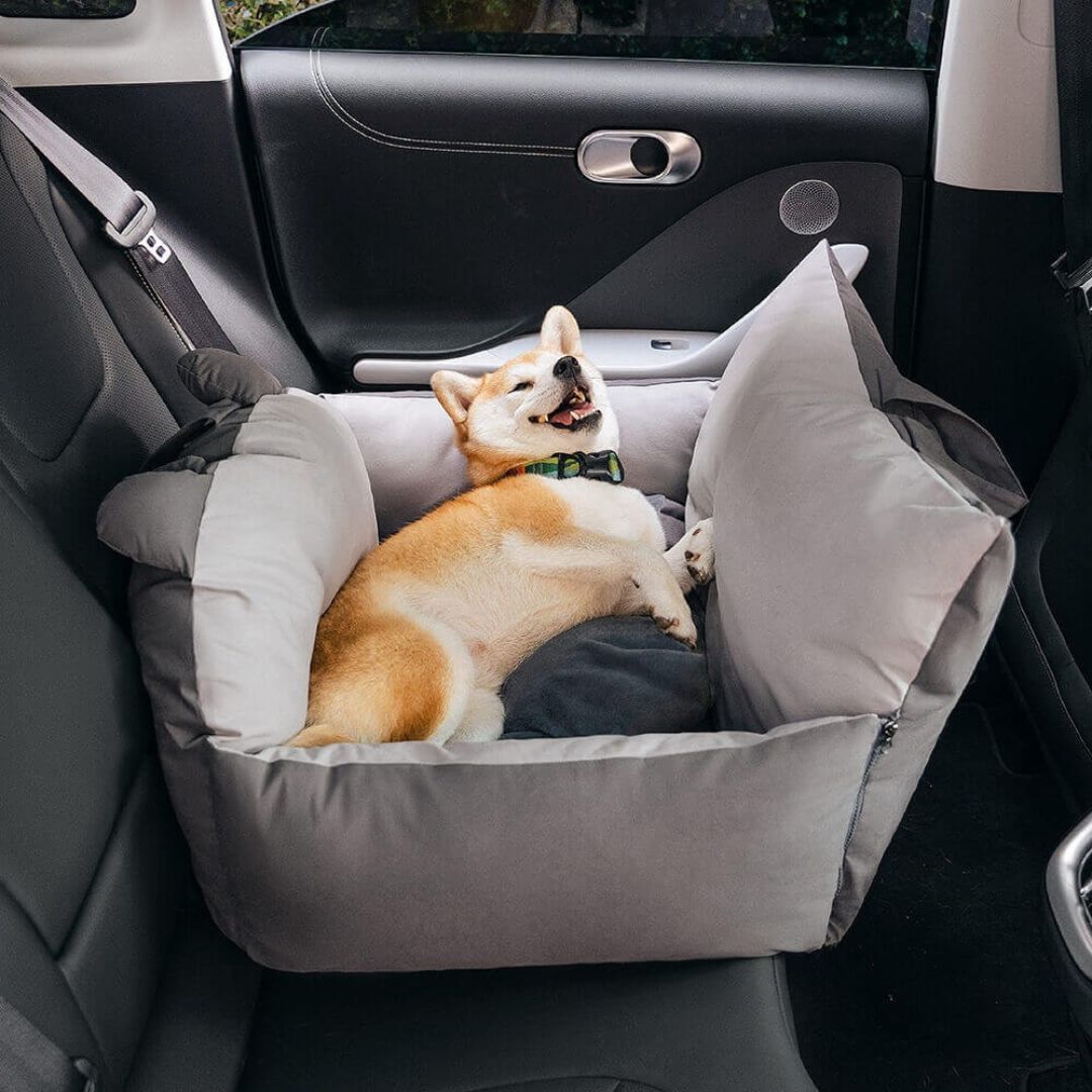 Sicherer Hundeautositz für entspannte Fahrten