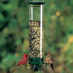 Vogelfutterstation ohne Eichhörnchenangriffe