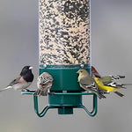 Vogelfutterspender mit Nager-Schutz