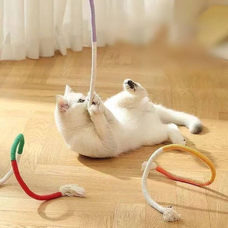 Katzenspielzeuge für verspielte Kätzchen - Gesundes Kauen
