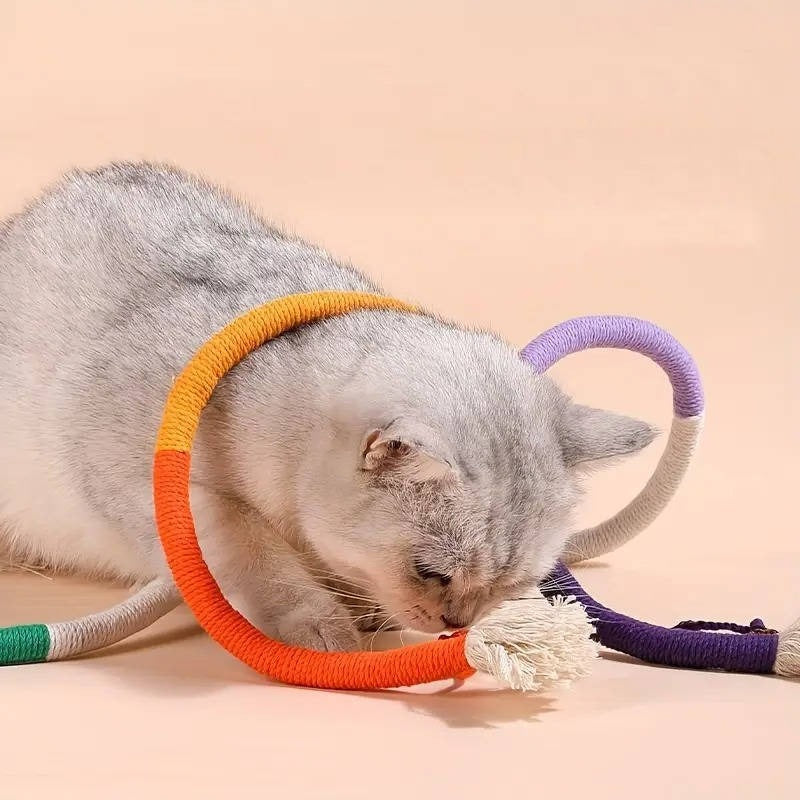 Katzenspielzeuge für verspielte Kätzchen - Gesundes Kauen