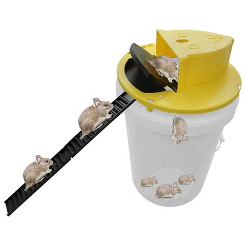 Wiederverwendbare, humane Mausefalle für den Eimer