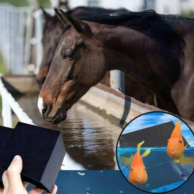 Wasserreiniger AquaSafe Cube für Tiere und Teiche