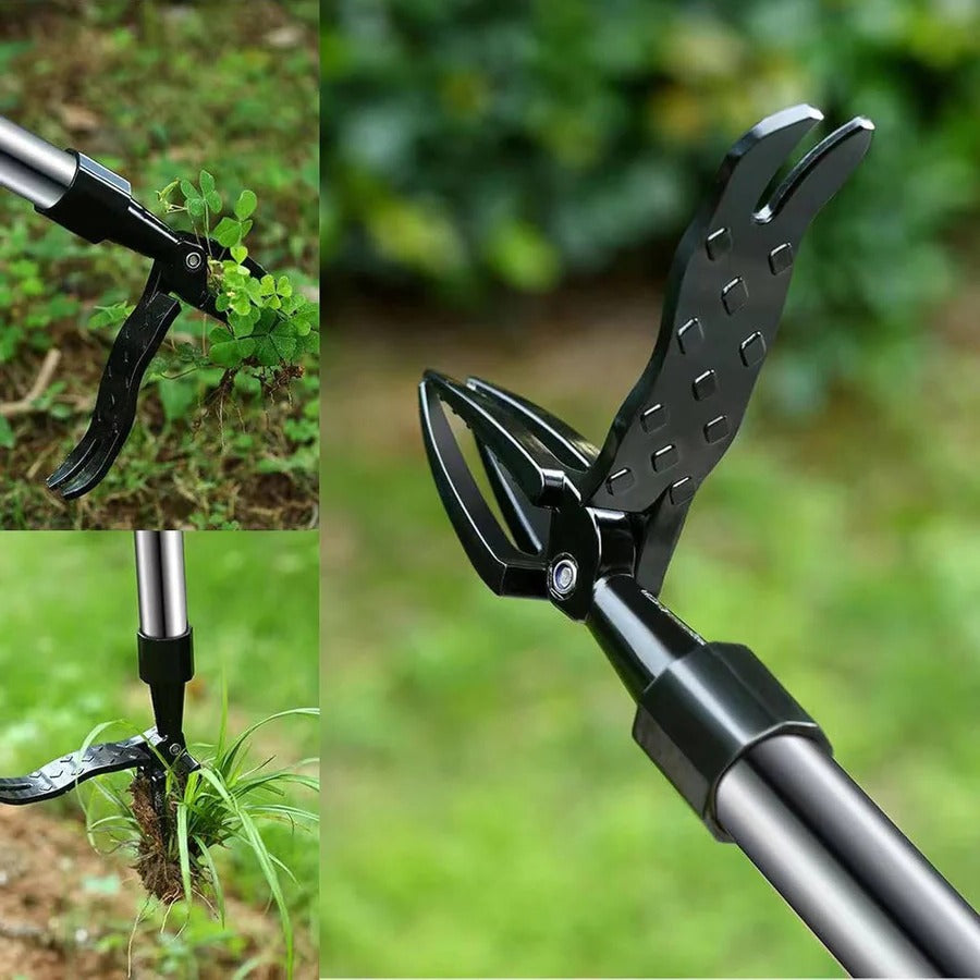 Bequemer Unkrautentferner mit Langem Griff