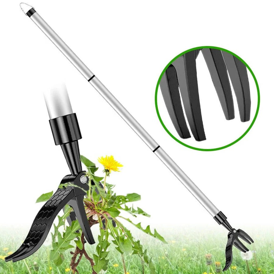 Bequemer Unkrautentferner mit Langem Griff