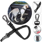 Sicherheitsgurt für Hunde im Auto für stressfreies Reisen