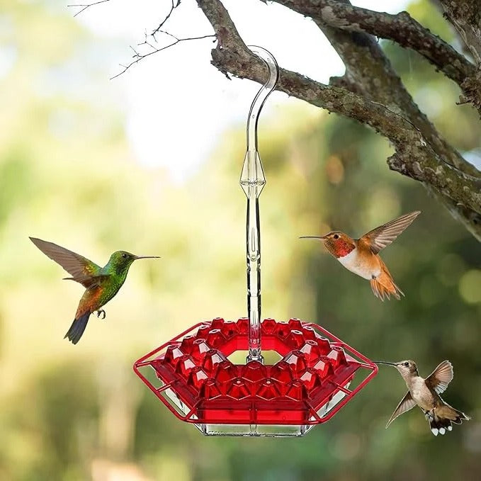 Hängender Kolibri-Futterspender mit Insektenschutz und stabiler Halterung