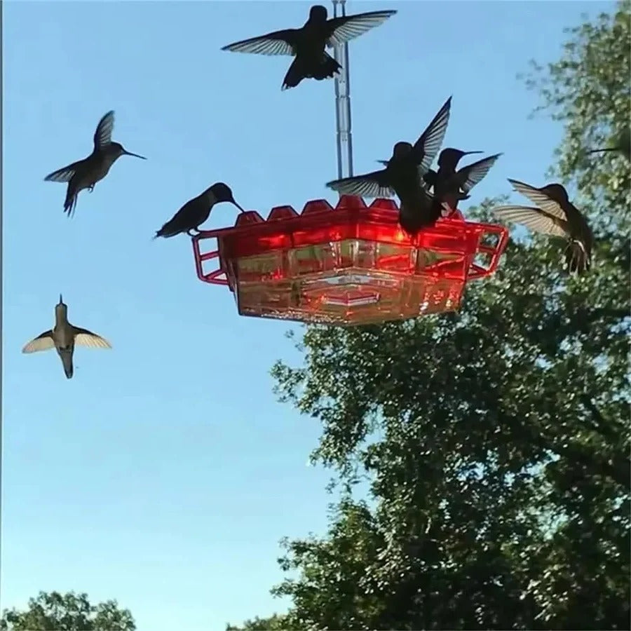 Hängender Kolibri-Futterspender mit Insektenschutz und stabiler Halterung