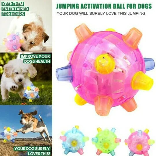 Sprungaktive Spielkugel für Hunde – Interaktives Spielzeug