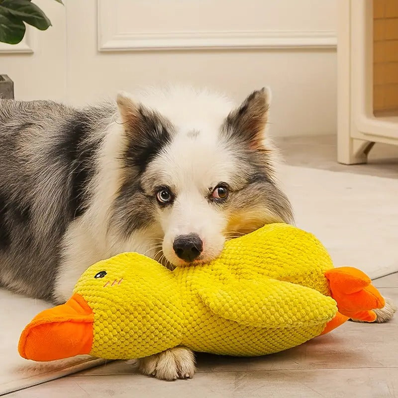 Kuschelweiches Entchen – Der ideale Spielgefährte für Hunde