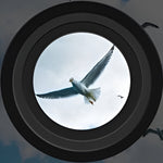 Hochleistungs-Nachtsichtferngläser mit digitaler Sicht für Tag und Nacht