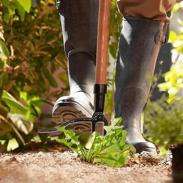 Robuster Unkrautentferner mit Edelstahlkrallen für müheloses Arbeiten