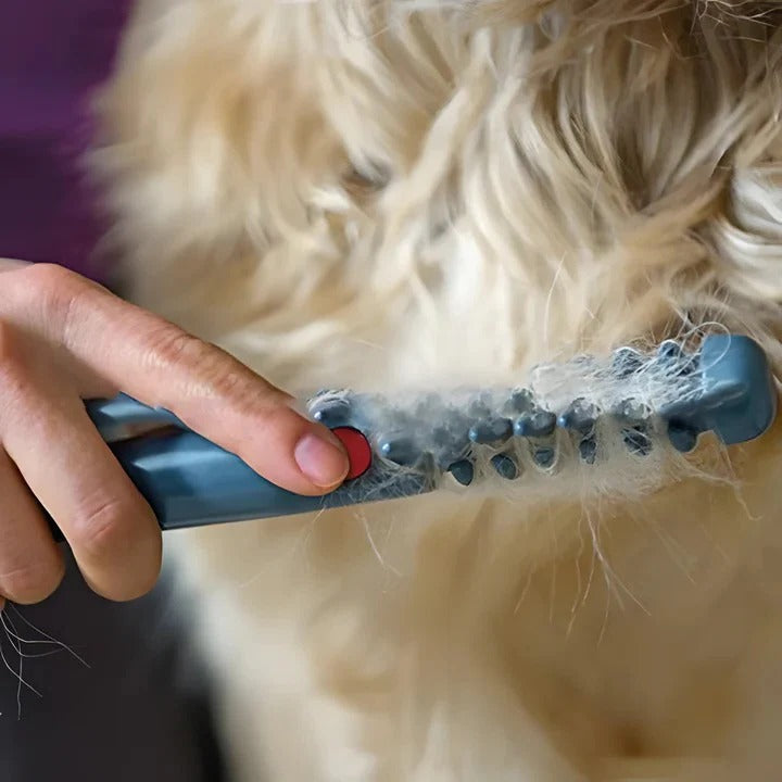 Verfilzungsfreier Pflegekamm für Langhaarhunde