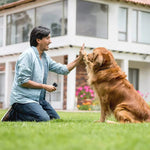 Ultraschall-Bellabwehrgerät für Hunde - Humane Lösung für draußen