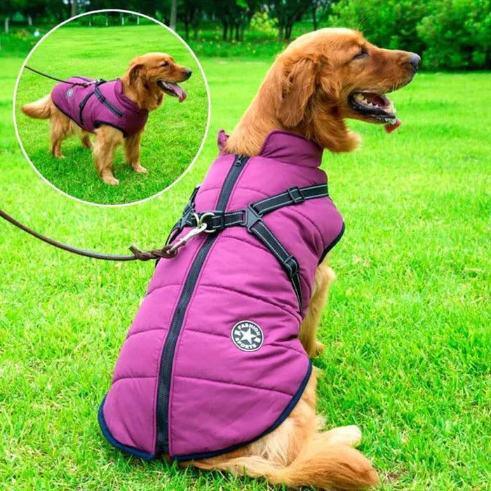 Wasserfeste Winterjacke für Hunde mit Fleece-Futter und integrierter Leinenhalterung