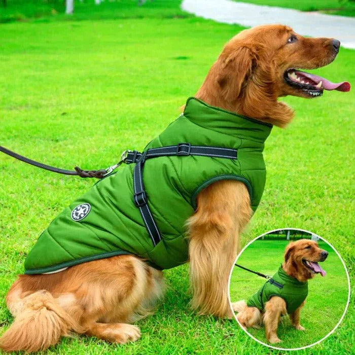 Wasserfeste Winterjacke für Hunde mit Fleece-Futter und integrierter Leinenhalterung