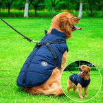Wasserfeste Winterjacke für Hunde mit Fleece-Futter und integrierter Leinenhalterung