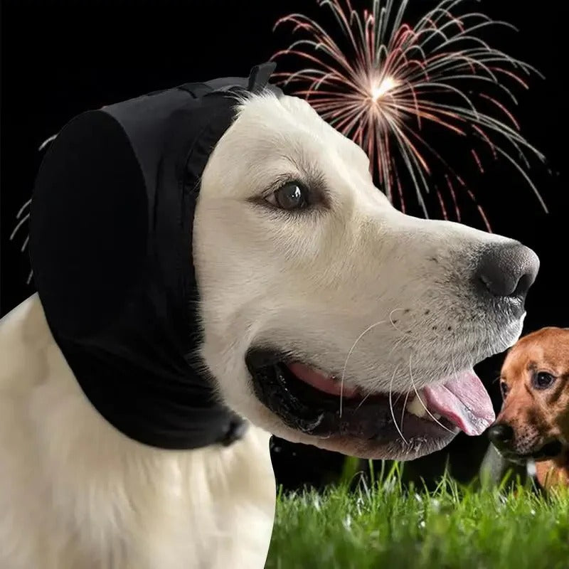 Wohlfühl-Ohrenschutz für Hunde gegen Lärm