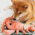 Lebendiges Hummer-Spielzeug für Hunde – Interaktives Vergnügen