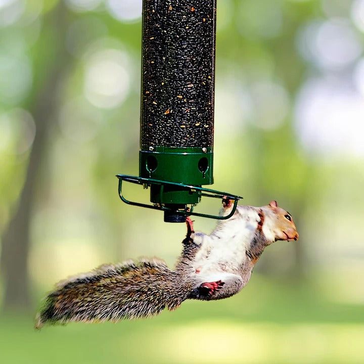 Vogelfutterspender mit Nussabwehrmechanismus