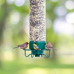 Vogelfutterstation mit Nussknacker-Schutz