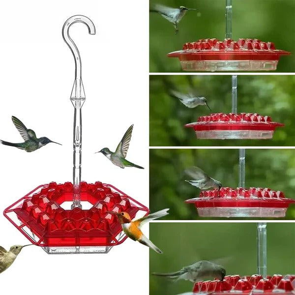 Hängender Kolibri-Nektarspender mit Ameisenbarriere