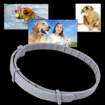 Verstellbares Haustierhalsband für Hunde und Katzen mit Insektenschutz