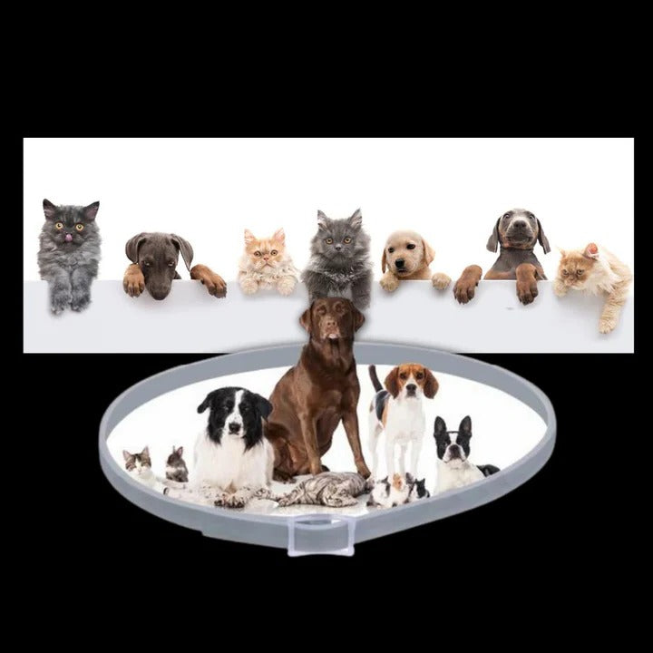 Verstellbarer Haustier-Halsband für Hunde und Katzen mit Ungezieferabwehr