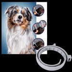 Verstellbarer Haustier-Halsband für Hunde und Katzen mit Ungezieferabwehr