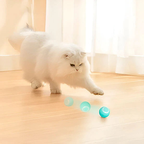 Interaktiver Spielball für Haustiere mit USB-Ladefunktion