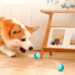 Interaktiver Spielball für Haustiere mit USB-Ladefunktion