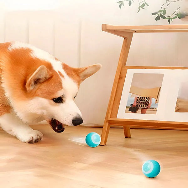 Interaktiver Spielball für Haustiere mit USB-Ladefunktion