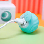 Interaktiver Spielball für Haustiere mit USB-Ladung