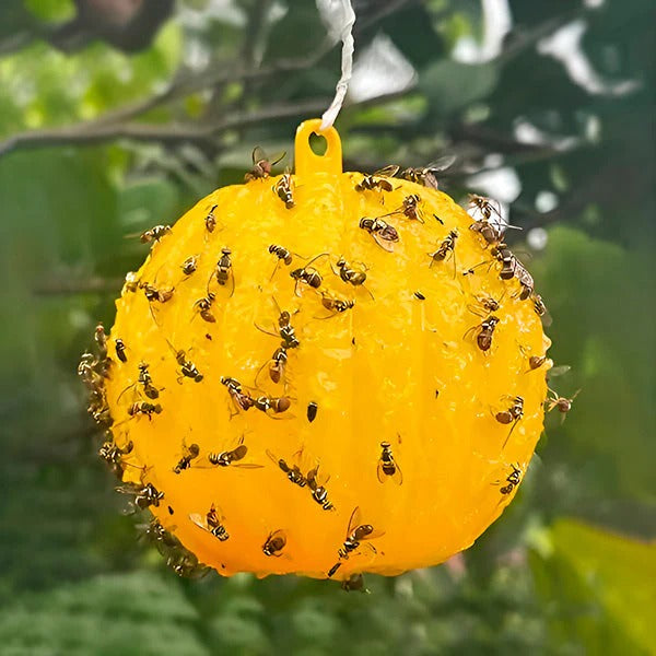 Effektive Fliegenfalle mit Klebefläche, 6er Set