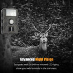1080P Wildkamera mit Bewegungssensor und Nachtsicht-LEDs