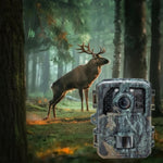 Kompakte Wildkamera mit Infrarot-LEDs und Bewegungserkennung