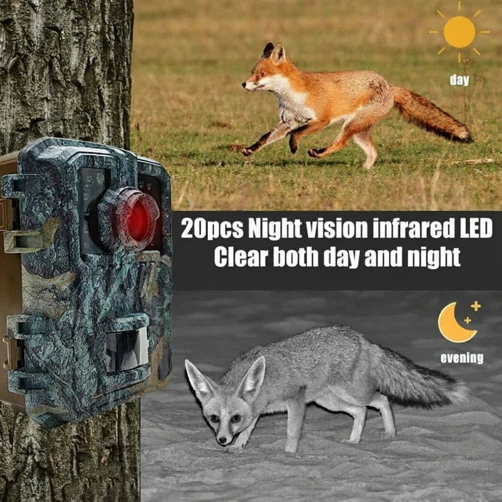 Kompakte Wildkamera mit Infrarot-LEDs und Bewegungserkennung