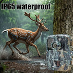 Kompakte Wildkamera mit Infrarot-LEDs und Bewegungserkennung