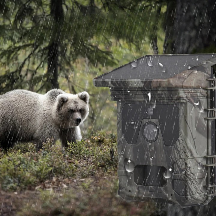 Solarbetriebene Wildkamera mit Nachtsicht und Außenanwendung