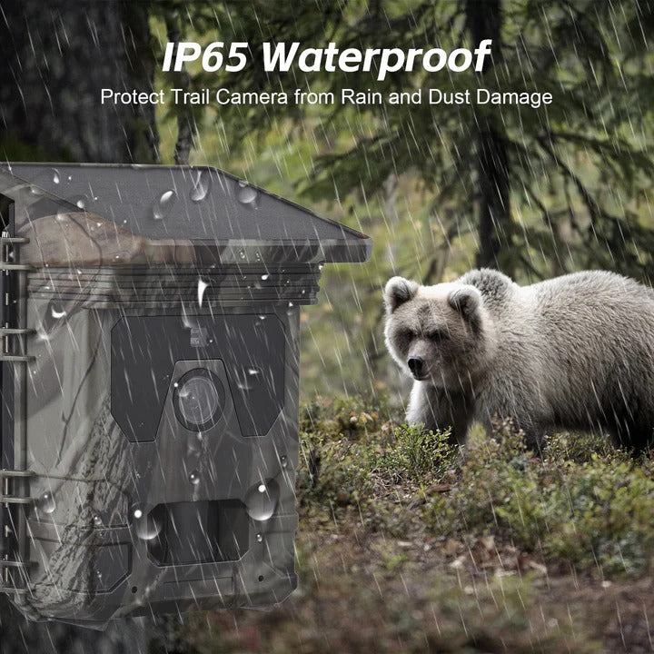 Solarbetriebene Wildkamera mit Nachtsicht für den Außenbereich